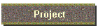 Project