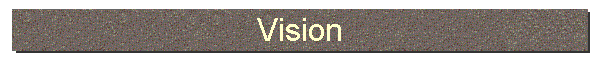 Vision